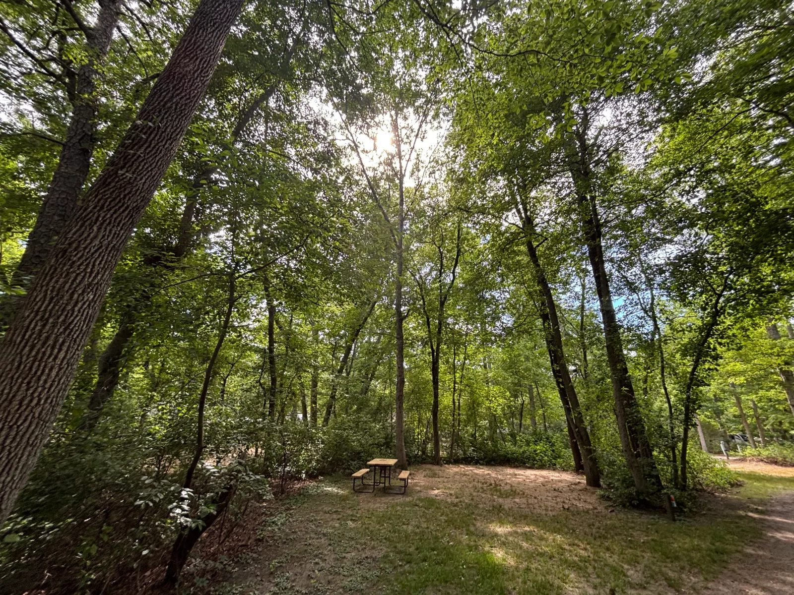 6 quiet wooded sites.