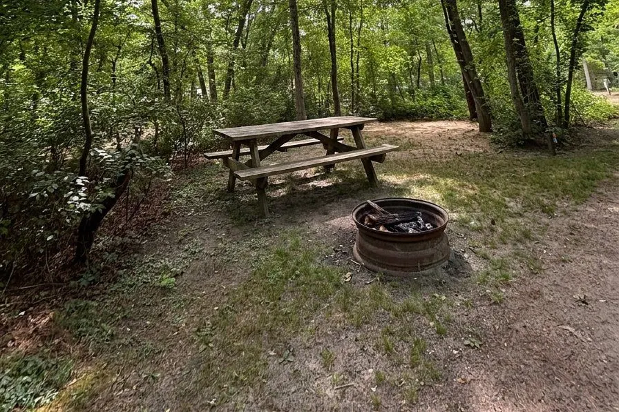 Fire ring & picnic table